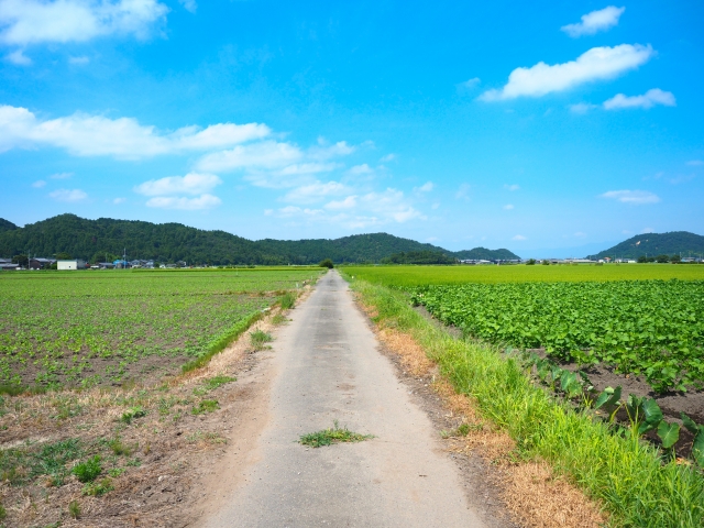 転勤　田舎　つまらない